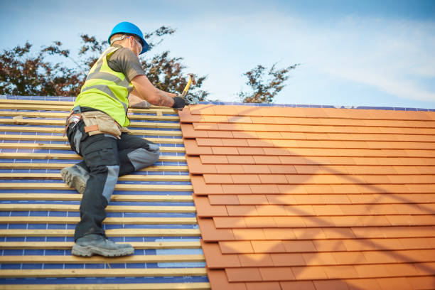 Best Roof Restoration  in Donora, PA