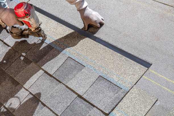 Best Chimney Flashing Repair  in Donora, PA